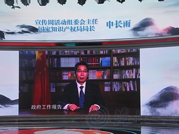 知识产权保护,创新保护,知识产权管理改革