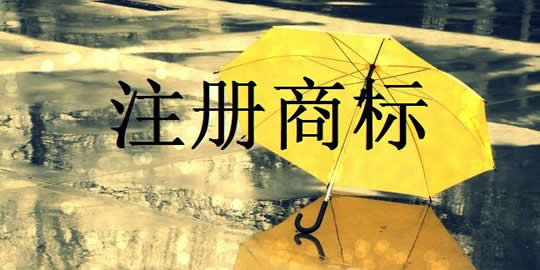 知识产权保护,logo商标保护